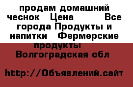 продам домашний чеснок › Цена ­ 100 - Все города Продукты и напитки » Фермерские продукты   . Волгоградская обл.